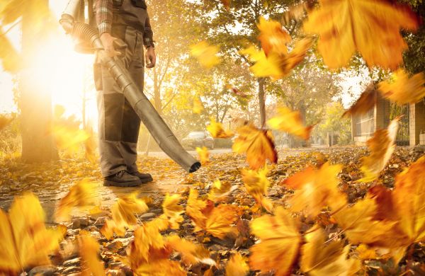 Leaf Blowing Service in Oakland