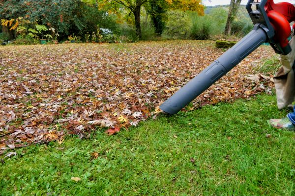 Leaf Vacuuming Service in Oakland