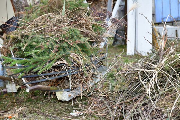 Yard Debris Removal in Oakland