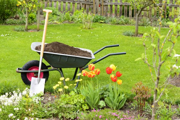 Cost of Spring Yard Cleanup in Oakland