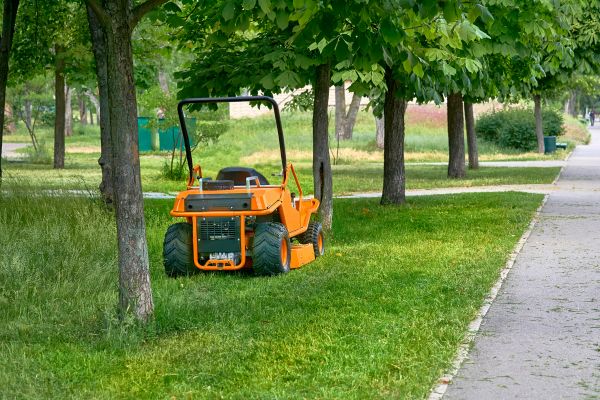 Landscaping Cleanup Service in Oakland