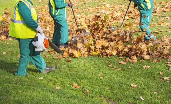 Cost of Leaf Maintenance in Oakland