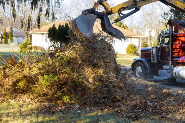 Storm Debris Removal in Oakland