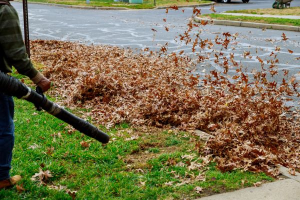 Cost of Garden Leaf Removal in Oakland