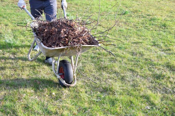 Yard Brush Removal in Oakland