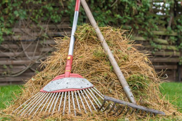 Cost of Pine Straw Clearing in Oakland