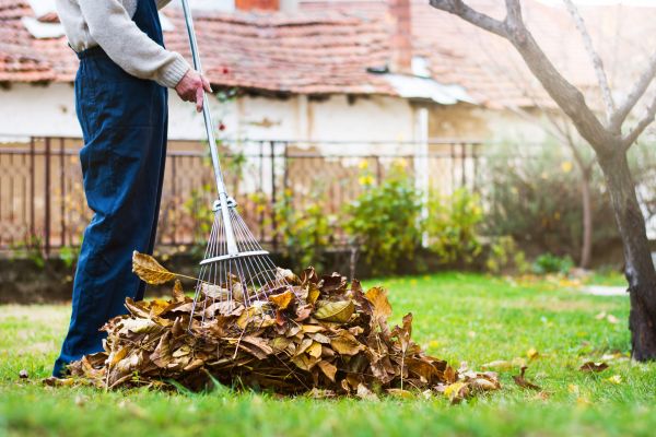 Spring Lawn Cleanup in Oakland
