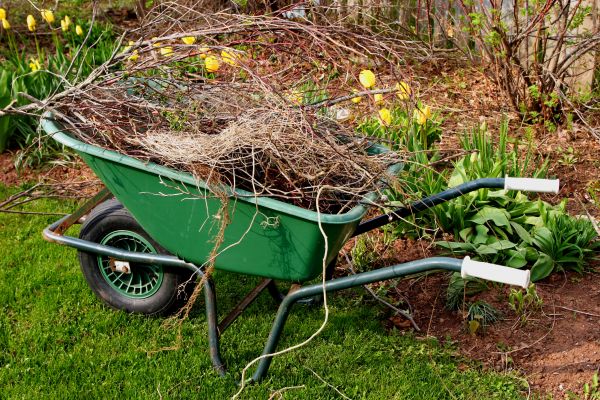 Lawn Waste Removal in Oakland