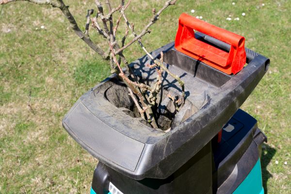 Cost of Brush Cleanup Service in Oakland