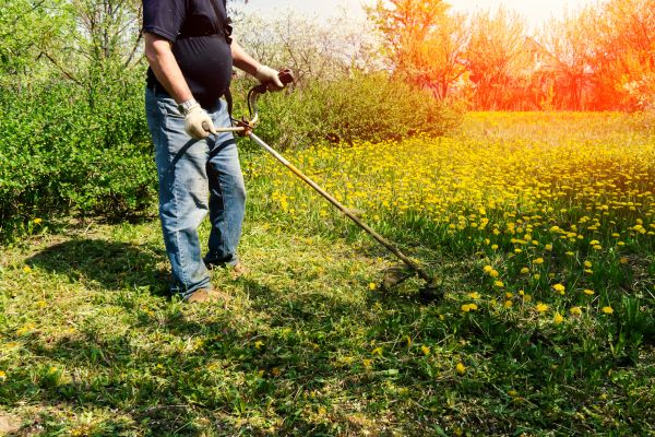 Cost of Yard Clearing Service in Oakland