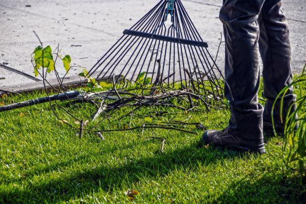Yard Debris Cleanup in Oakland