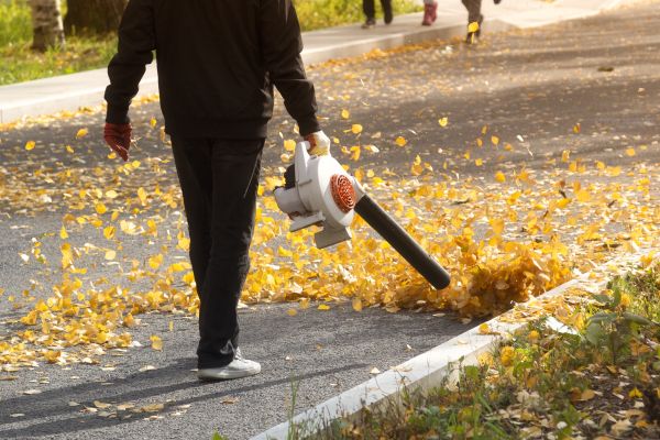 Commercial Leaf Removal in Oakland