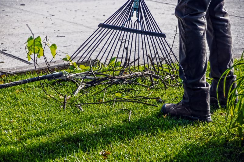 Leaf Raking Service detail