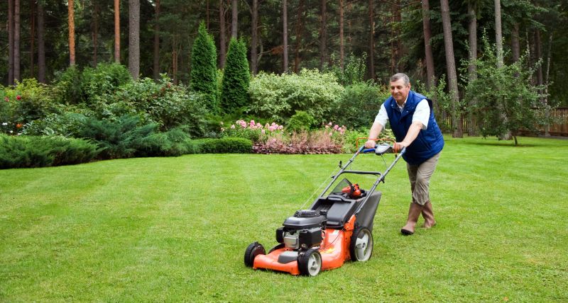 Spring lawn preparation
