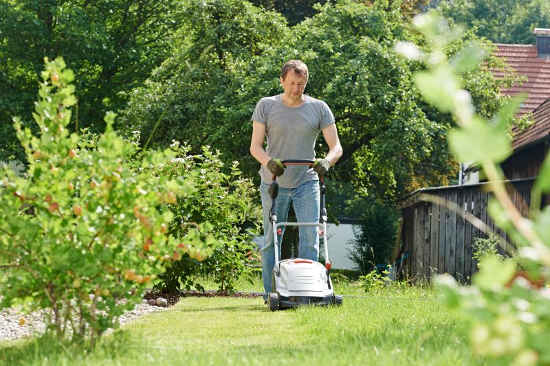 Products For Lawn Clean Up Service in use